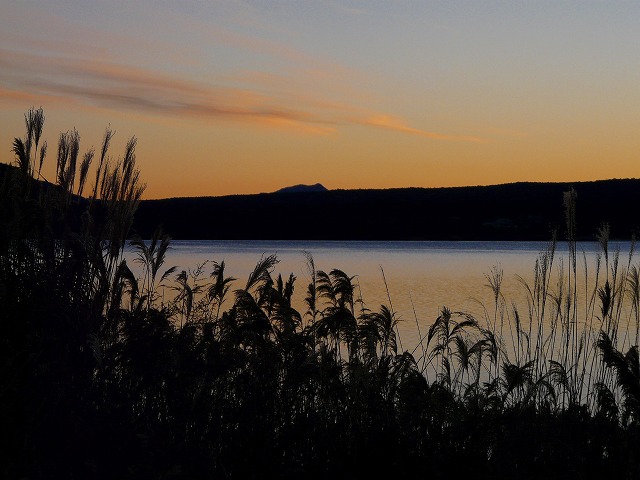 e0202393_18171593.jpg