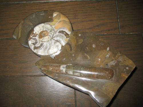 f0013998_18402873.jpg