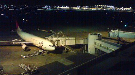 c0202101_816471.jpg