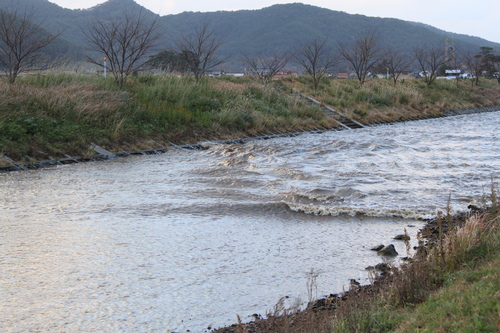 e0205502_1235945.jpg