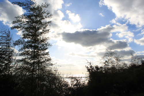 e0205502_1274474.jpg