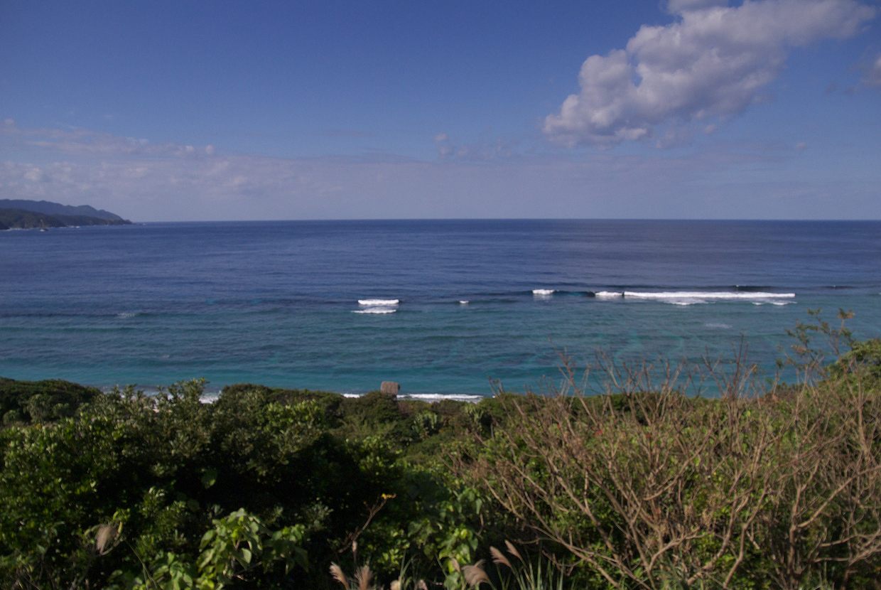 b0174905_6301290.jpg