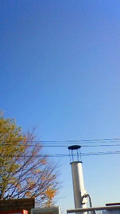 c0017505_17453697.jpg