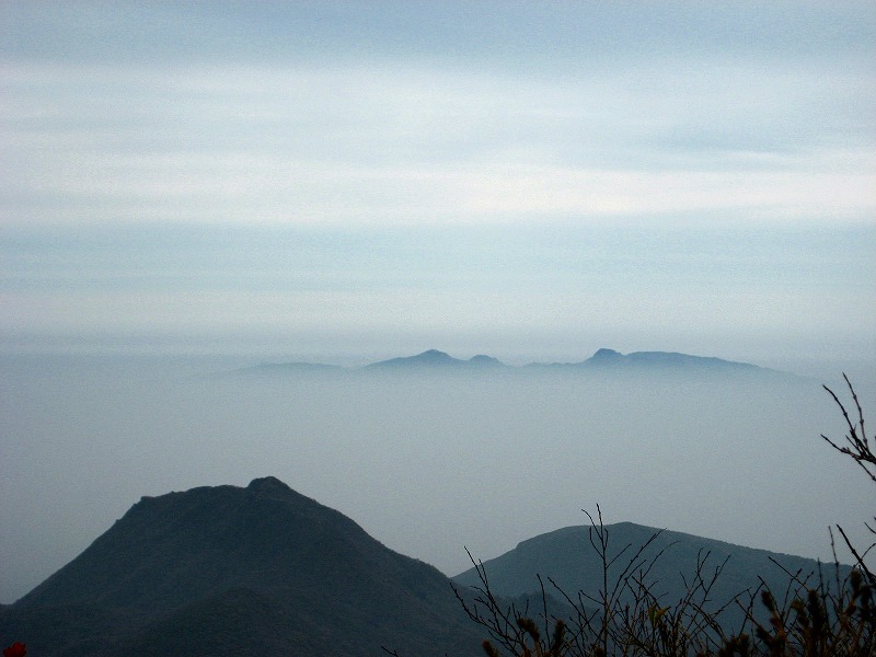 d0152306_065591.jpg