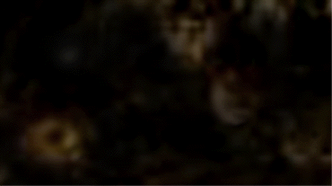 e0103408_22054.gif