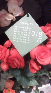 c0224412_19322544.jpg