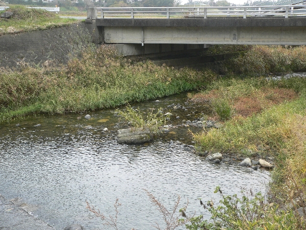 e0002314_1943254.jpg