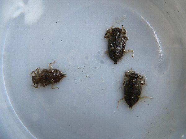 e0002314_20053100.jpg