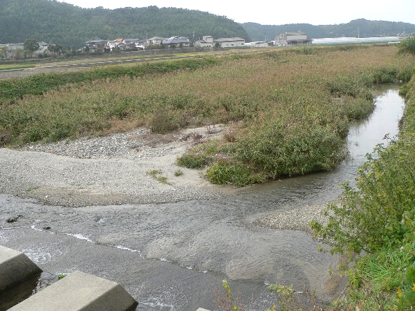 e0002314_2083294.jpg