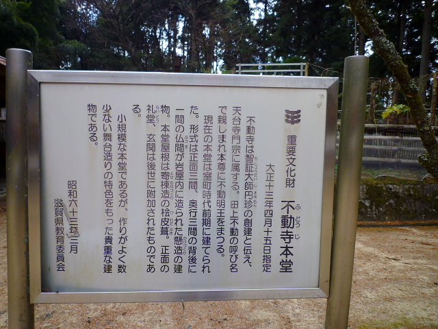 d0170615_113330100.jpg