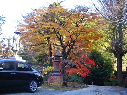 d0144618_2011198.jpg