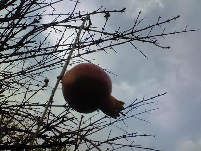 c0097620_23123046.jpg