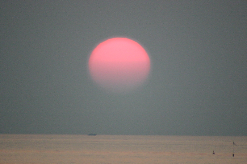 f0031423_843250.jpg