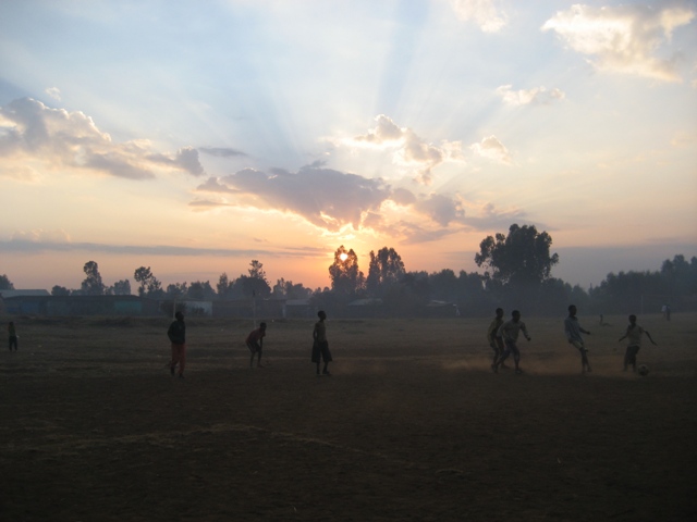 d0178633_3382144.jpg