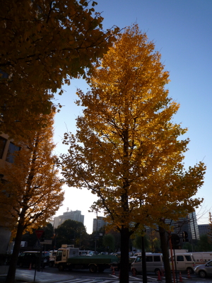 f0214837_12373428.jpg
