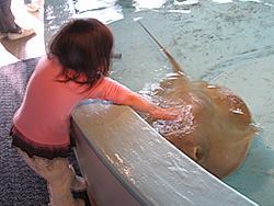 a0106341_52522.jpg