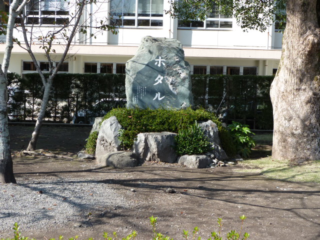 b0190242_18491464.jpg