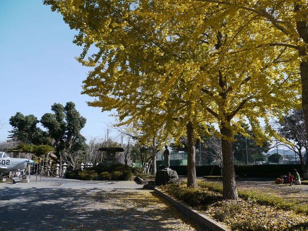 b0190242_18531534.jpg