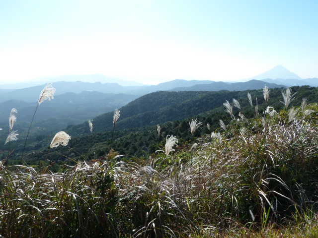 b0190242_18593287.jpg