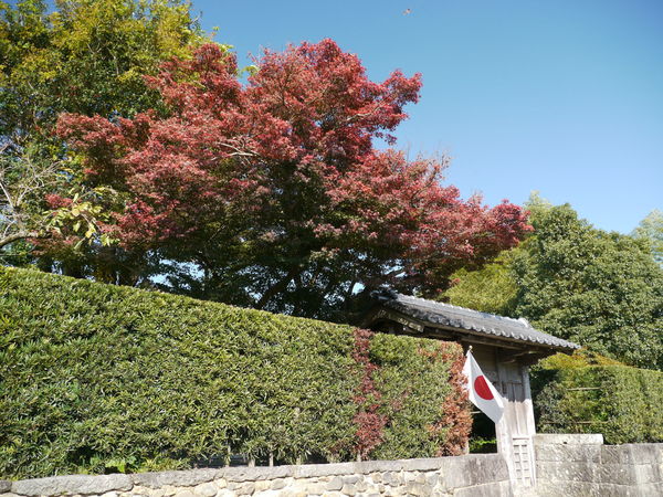 b0190242_1984591.jpg