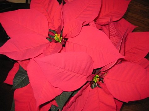 f0190942_61958100.jpg