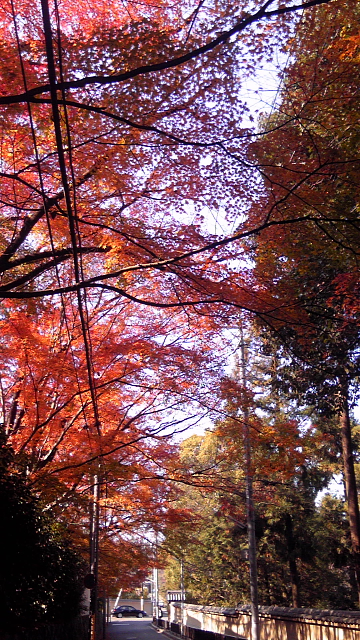 a0024250_2116893.jpg