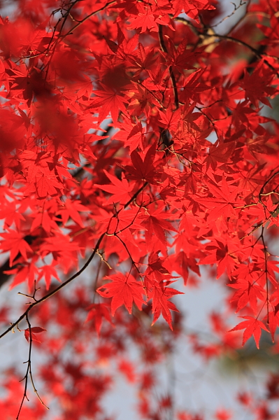 a0024250_21532010.jpg