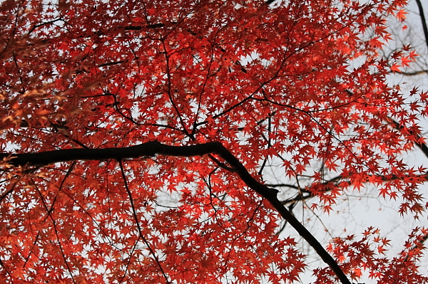 a0024250_21532292.jpg