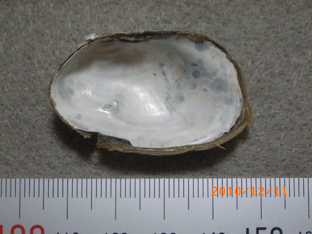 a0157451_21103681.jpg