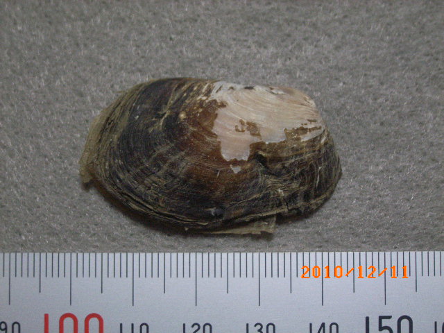 a0157451_21124976.jpg