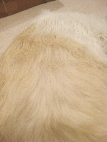 c0043751_23161481.jpg