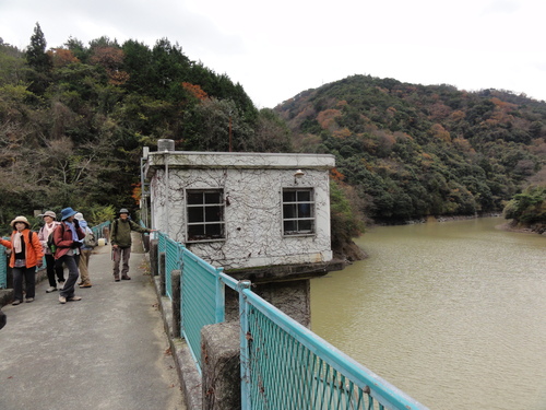 c0108460_20191315.jpg
