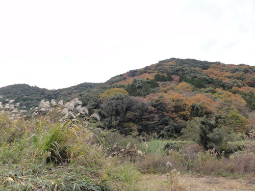 c0108460_2025080.jpg