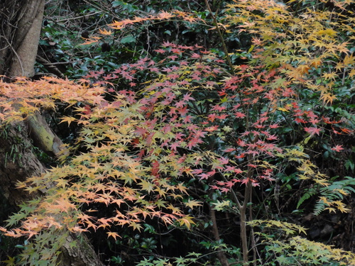 c0108460_20254427.jpg