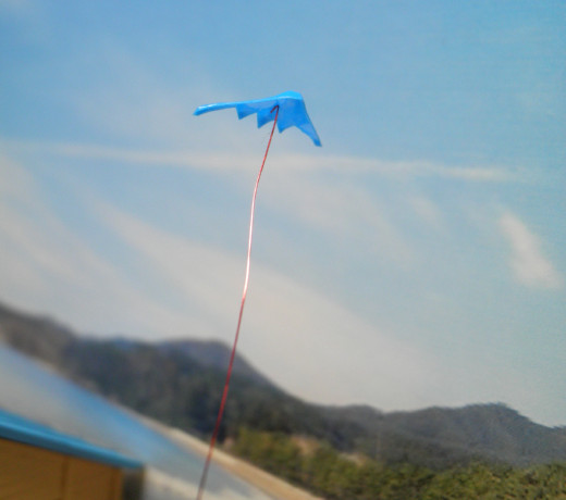 c0222964_117962.jpg