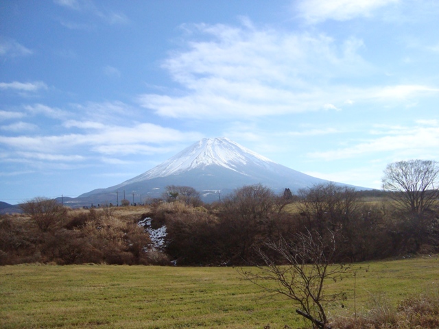 d0152765_20141874.jpg