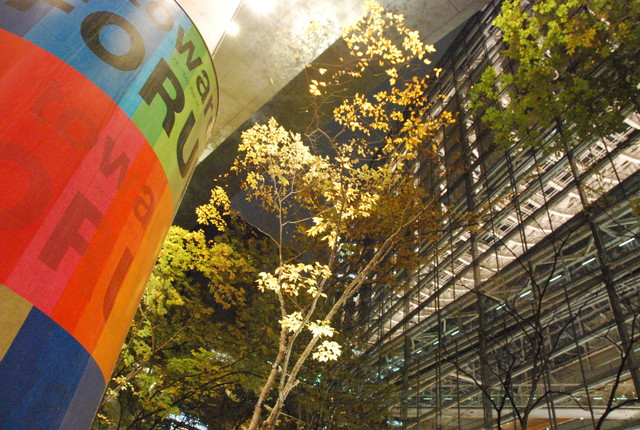 b0174068_1130276.jpg