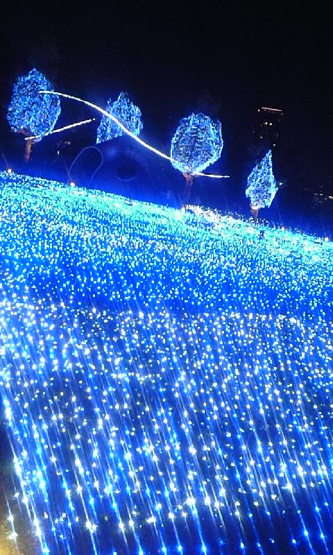 e0212073_21414884.jpg