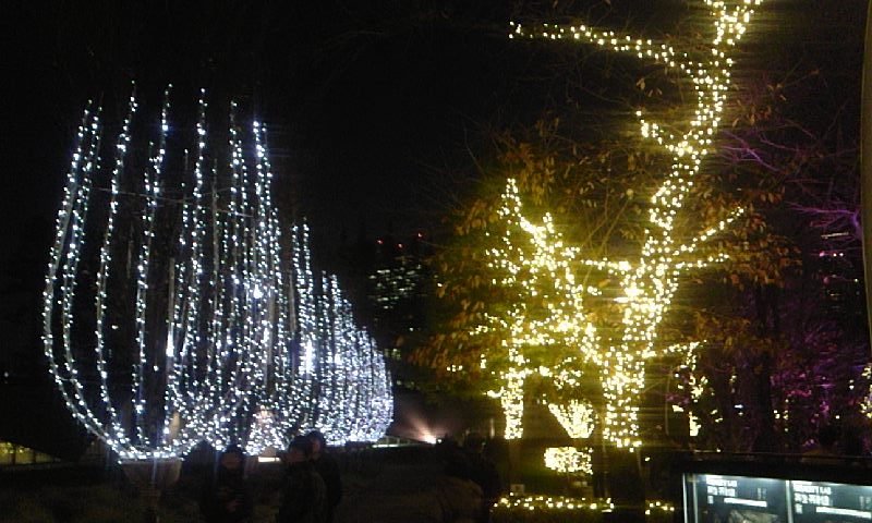 e0212073_21473366.jpg