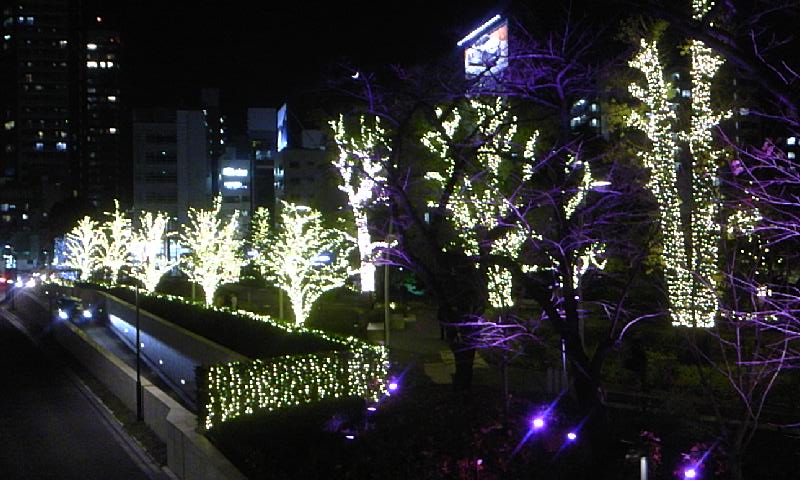 e0212073_2147518.jpg