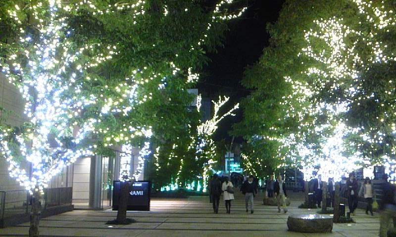 e0212073_2147546.jpg