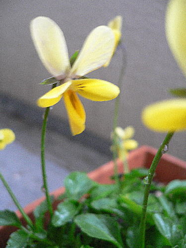 f0014980_22331531.jpg