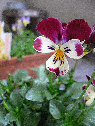 f0014980_2234931.jpg