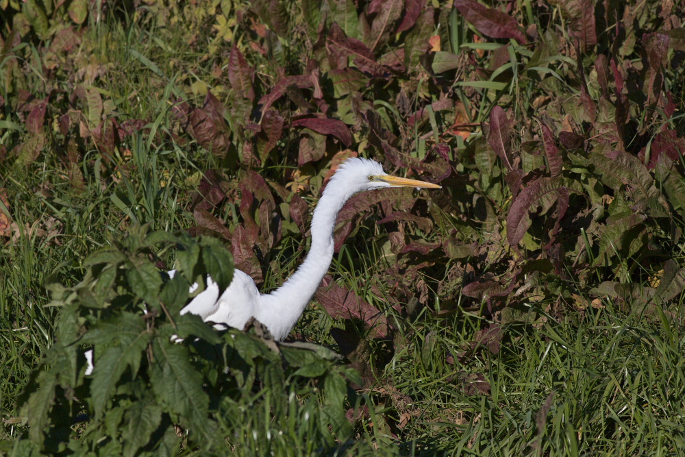 a0083081_17364498.jpg