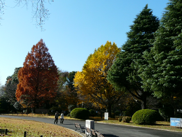 e0145782_1755232.jpg