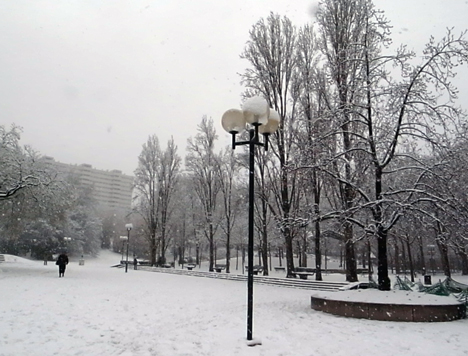 b0121884_7544592.jpg