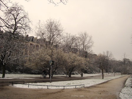 b0204492_2355388.jpg