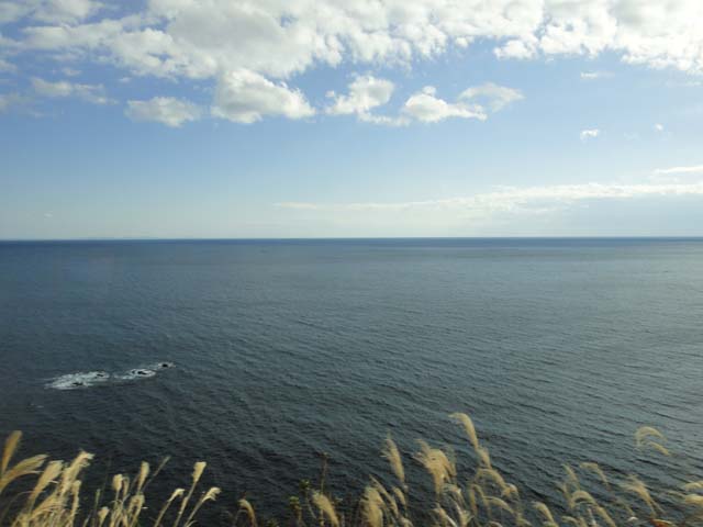 d0004301_17573721.jpg