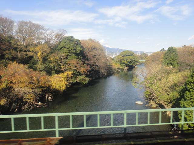 d0004301_17583677.jpg