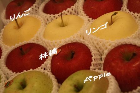 c0128303_221328100.jpg